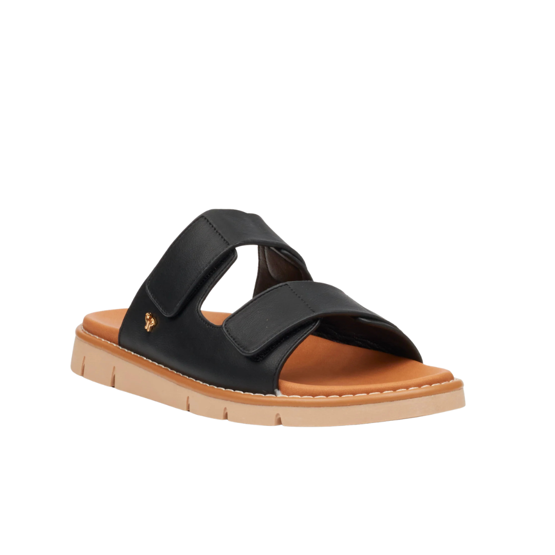 Butterfly Feet Trace 1  - Black