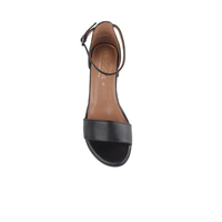 Froggie 11879 - Black