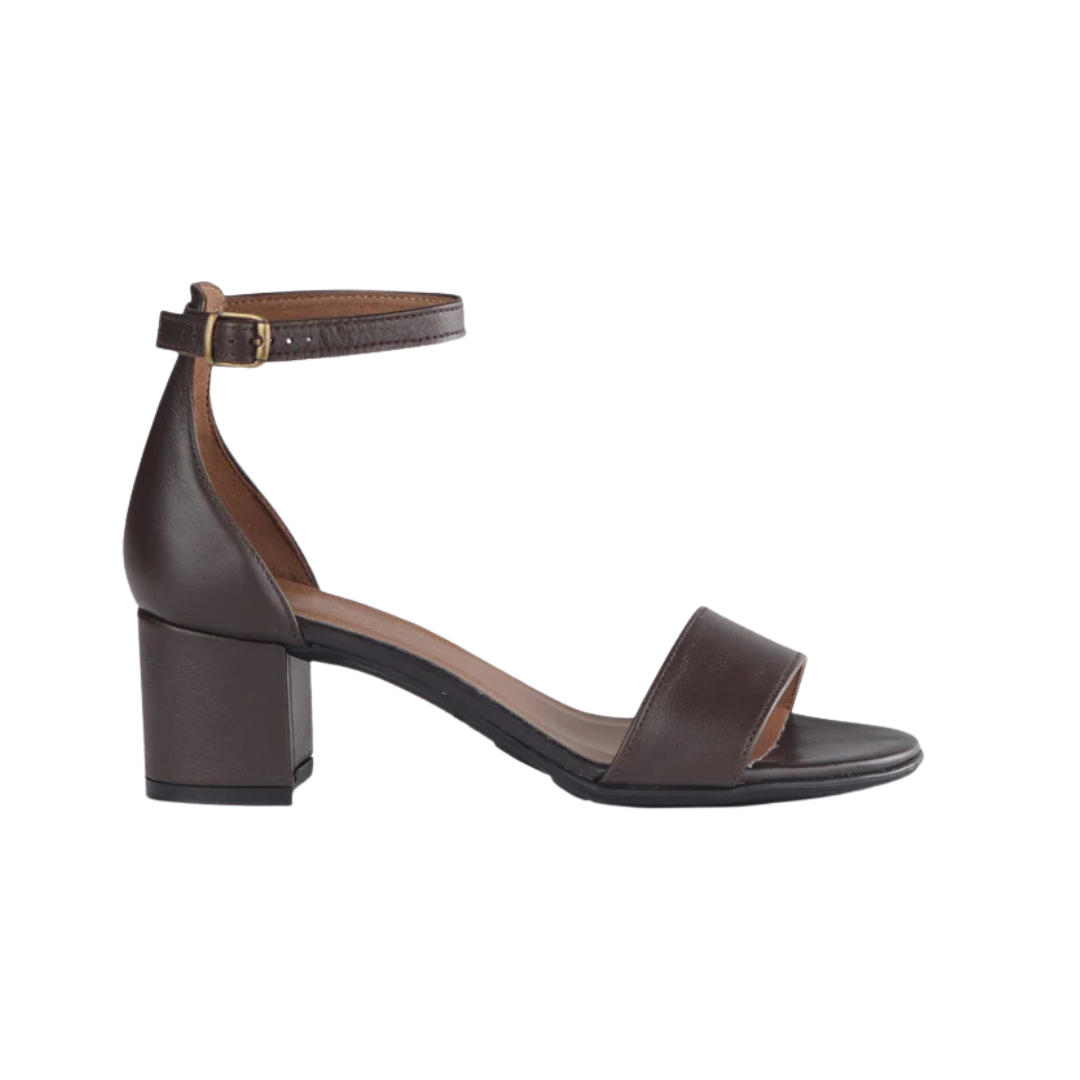 Froggie 11879 - Brown