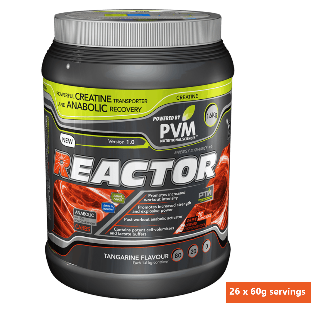 Reactor - Creatine Transporter